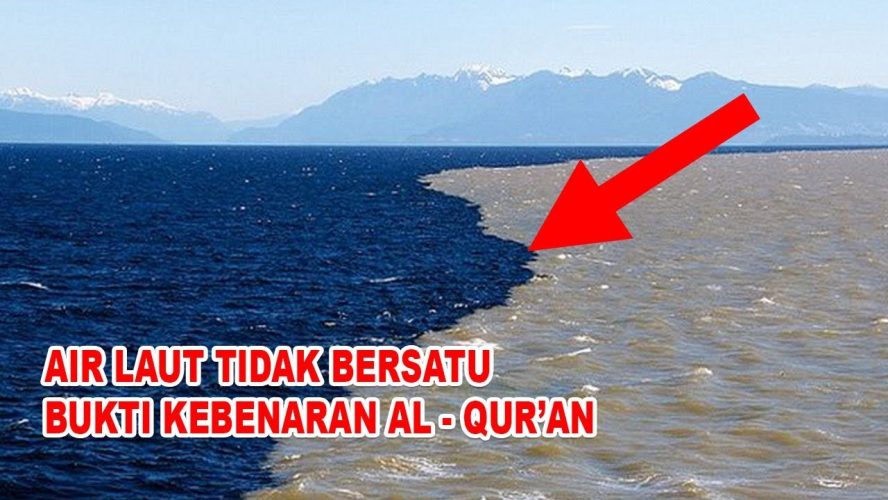 laut